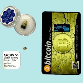 هندزفری نامرئی بیت کارت bitcard